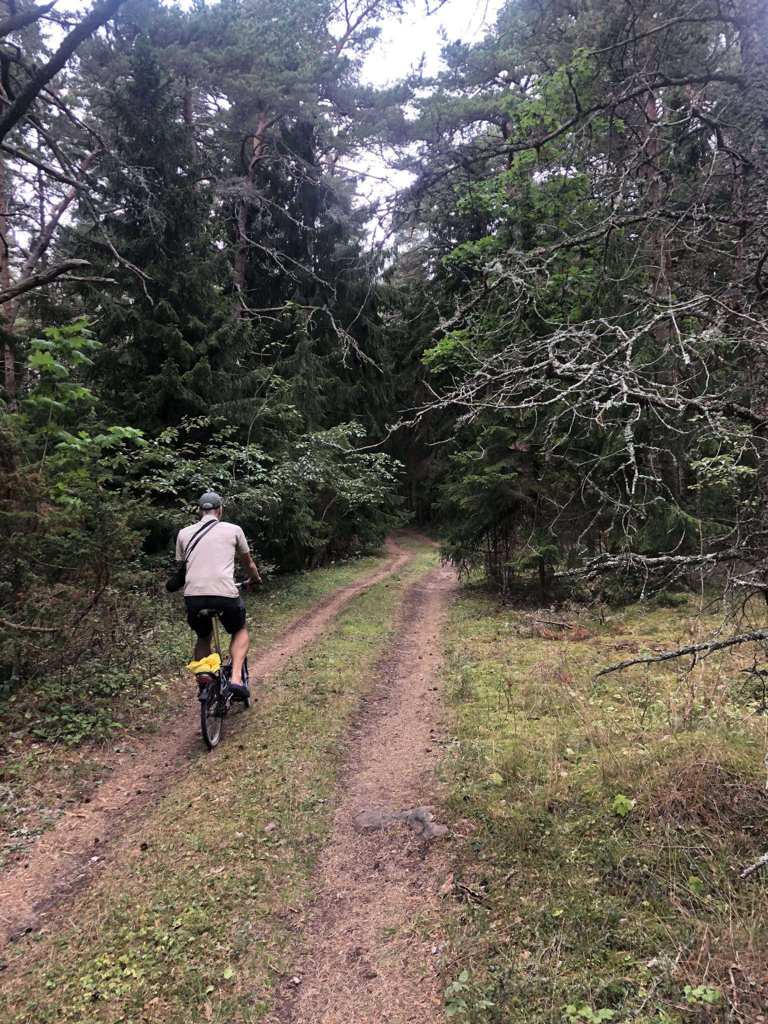 Ein Fahrradfahrer auf einem Waldweg vor dem Dickicht auf der Insel Hiiumaa