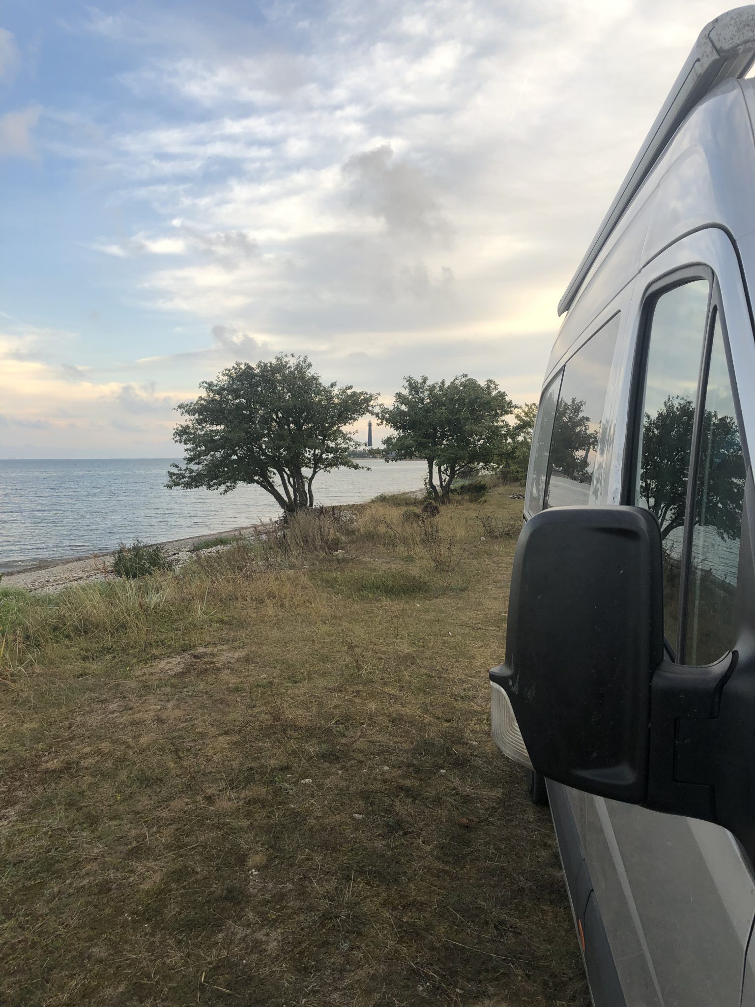 Ein Wohnmobilstellplatz direkt am Meer mit kleinen Bäumen auf Saarema in der Nähe von Saare