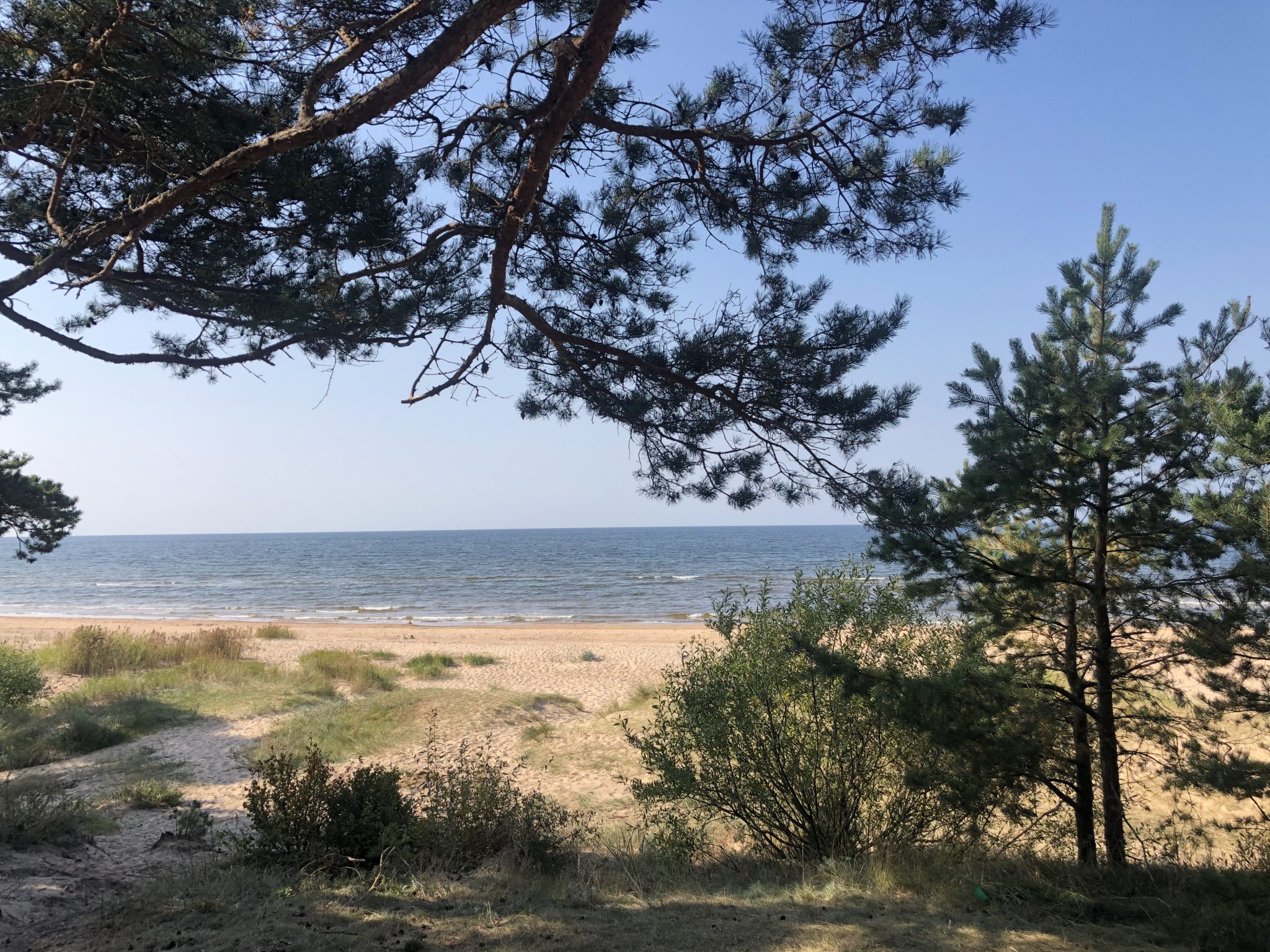 Herrlicher Blick aufs Meer vom Wohnmobilstellplatz am Rigaer Meerbusen