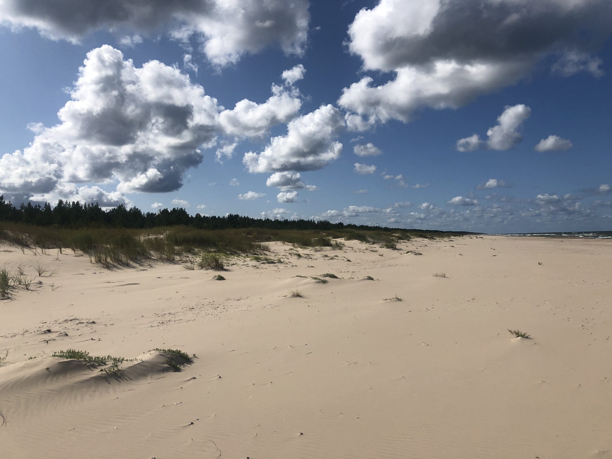 Sandstrand und Dünen mit Wolken am blauen Himmel in Lettland 