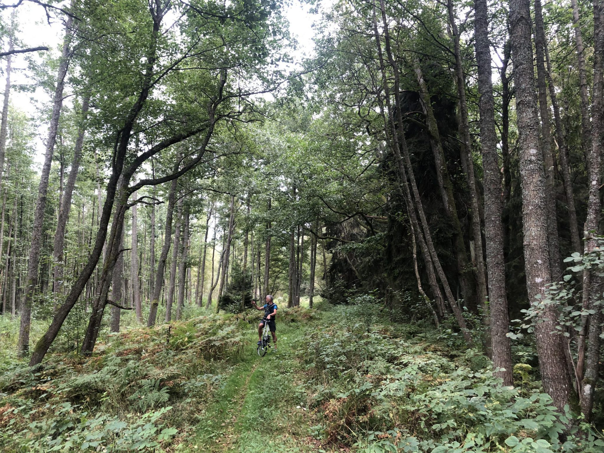 Fahrradtour im Urwald vom Pape Nationalpark