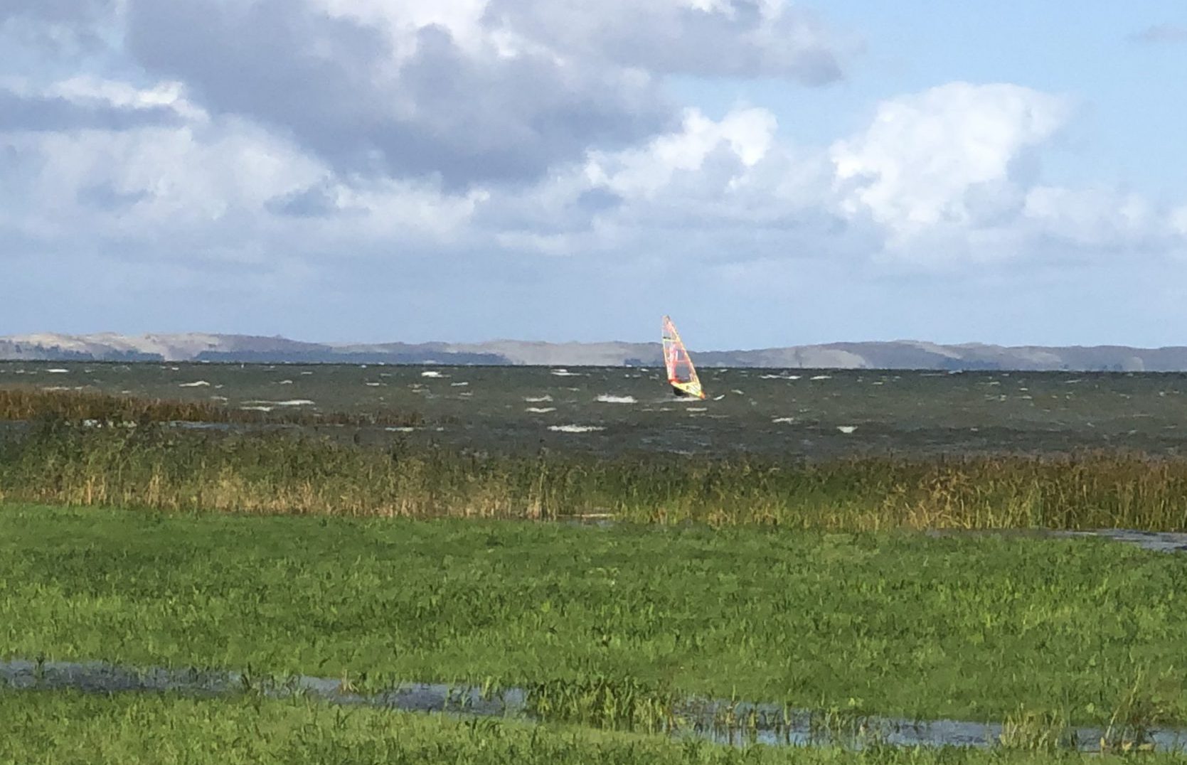 Windsurfer auf dem Haff an der kurischen Nehrung im Hingergrund sieht man die Parvidis Dünen