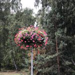 Blumenkranz an einer Sraßenlaterne in Litauen