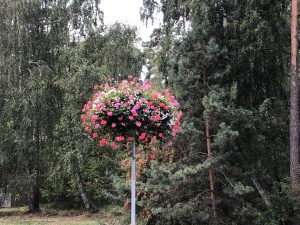 Blumenkranz an einer Sraßenlaterne in Litauen