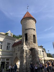 Türme begrenzen die Stadtmauer in Tallinns Altstadt