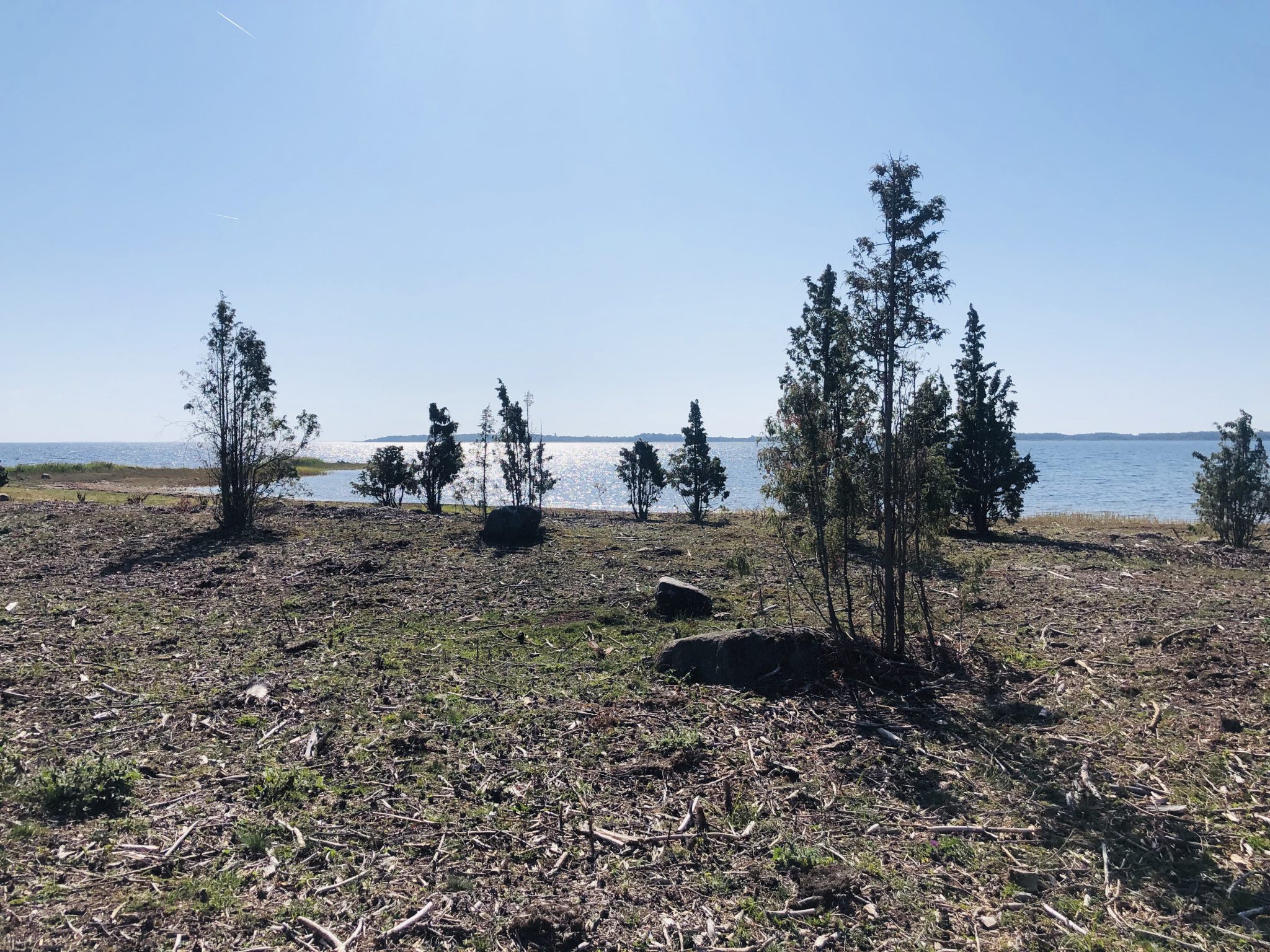 Wandern auf dem Naturpfad bei Ristna