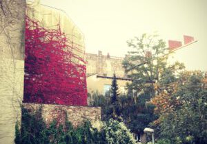 brandmauer herbst hinter arag