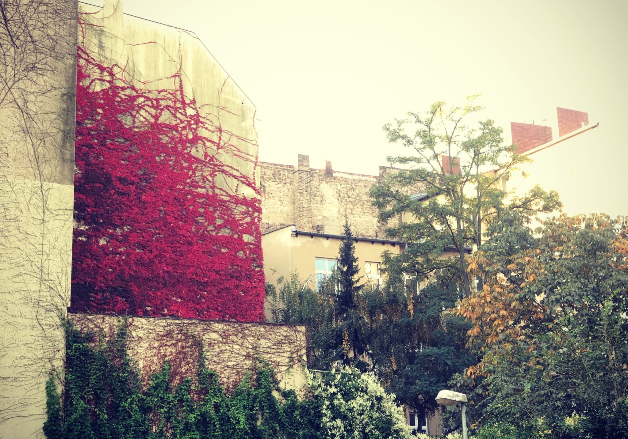 brandmauer herbst hinter arag