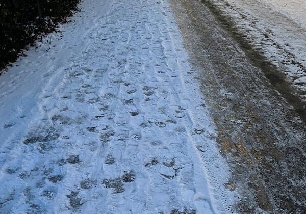 Grau in Grau ist das Sinnbild von Langeweile Depression und Haferschleim