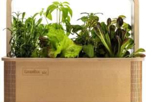 Smart Indoor Garten Greenbox im Holz Gehäuse mit Kräutern