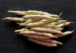 wachsbohnen Wachsbohnen nach Ernte der Bohnensorte Dattel