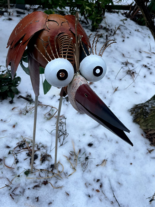 Selbst der Vogel langweilt sich im grauen Februar