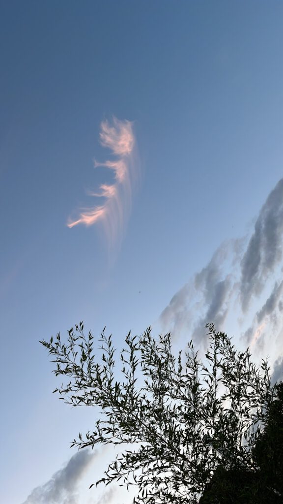 Himmel mit Wolken und Gefahr von Lichtverschmutzugn