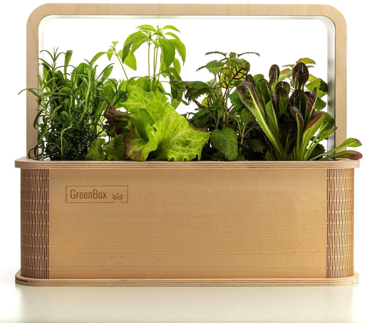 Greenbxo berlin green mini Gewächshaus mit Rabatt für Freunde