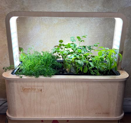 greenbox-eigenanbau Klassische Greenbox, Modell von 2021/2022