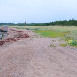 Spaziergang am Strand auf Hiiumaa