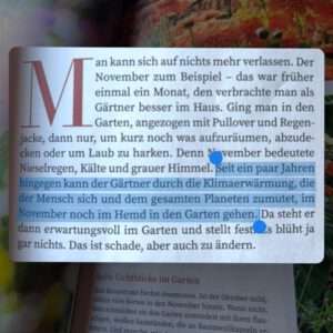 Kraut und Rüber Magazin schreibt über den Mensch