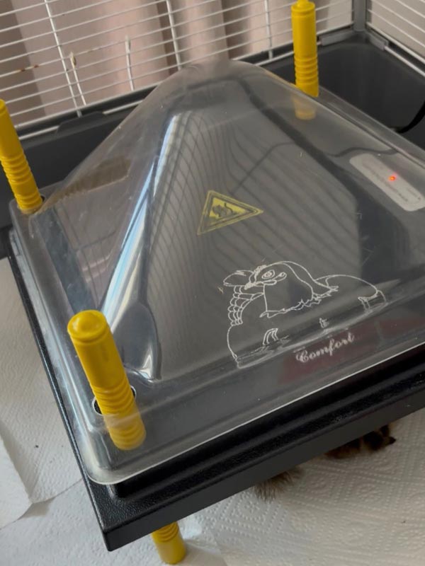 Küken Warmhalteplatte für Hühner und Enten