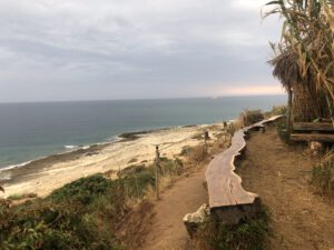 Blick über den Strand auf Kamenjak in der Region Istrien