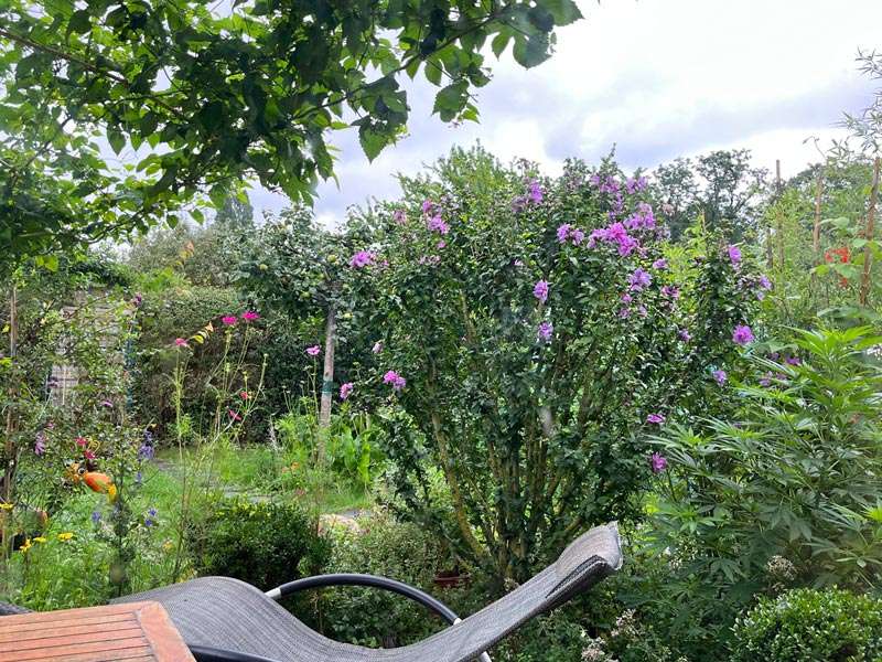 regen-in-berlin Der Garten im Regen in Berlin