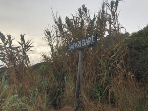 Schild im Schilf zeigt zur Safari Bar auf Kamenjak