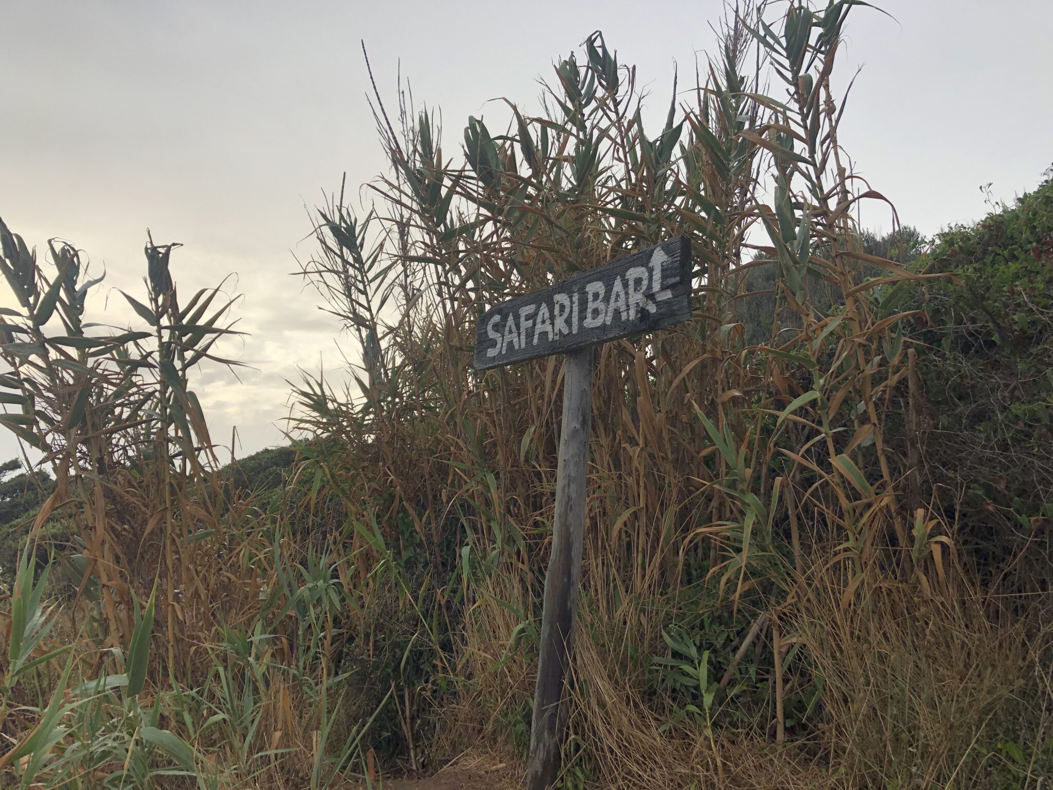 Schild im Schilf zeigt zur Safari Bar auf Kamenjak