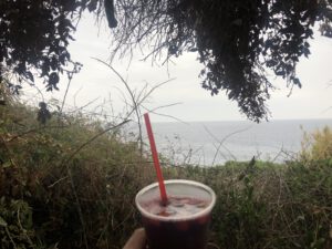 sangria-safari-bar