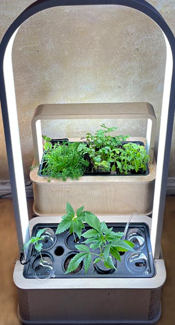 smart-garten-greenbxoPlus Zwei Smart Garten Modelle: Greenbox und GreenboxPlus