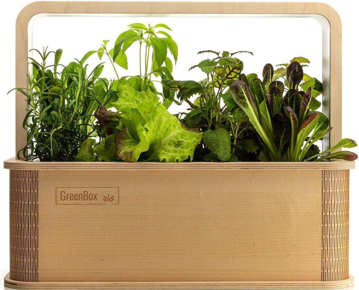 smart-indoor-garten-greenbox Smart Indoor Garten Greenbox im Holz Gehäuse mit Kräutern