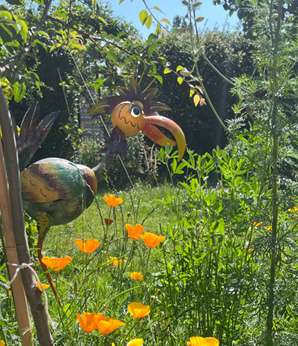 Vogeltränken helfen den Tieren in Trockenheitsperioden